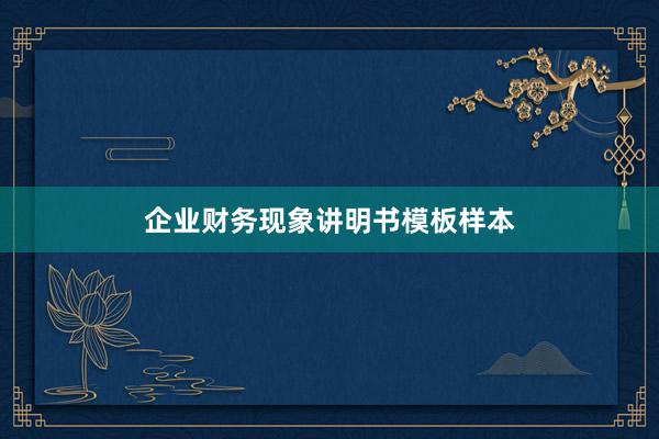 企业财务现象讲明书模板样本